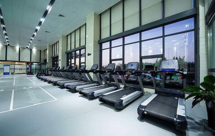 室内健身器材-leyu.乐鱼V9跑步机